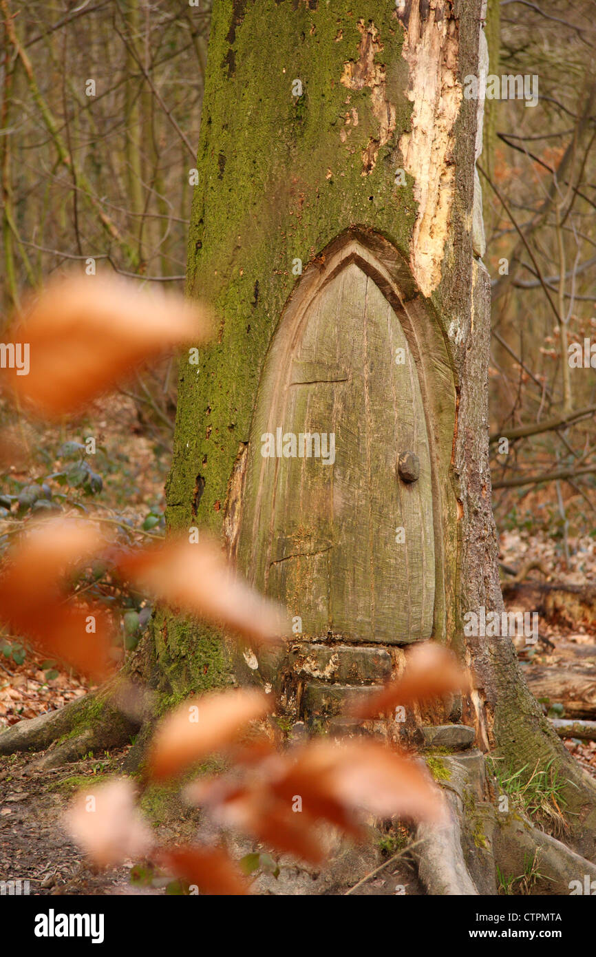 Escultura en madera tallada de puerta pequeña en la base de los árboles vistos a través de las hojas de otoño, Derbyshire, Reino Unido. Este podría ser un hobbit's home? Foto de stock