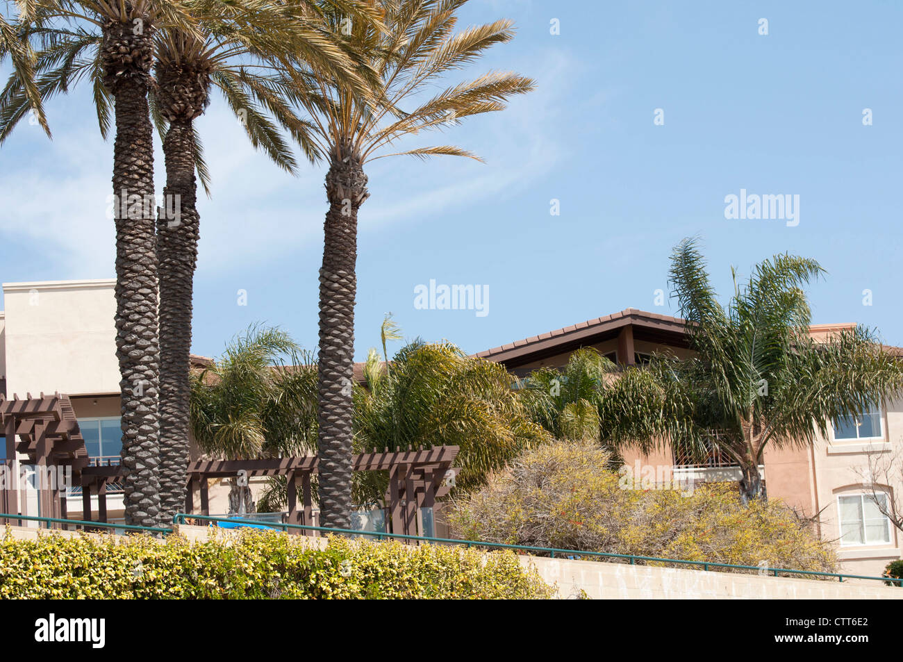 Casa de lujo y palmera en California Foto de stock