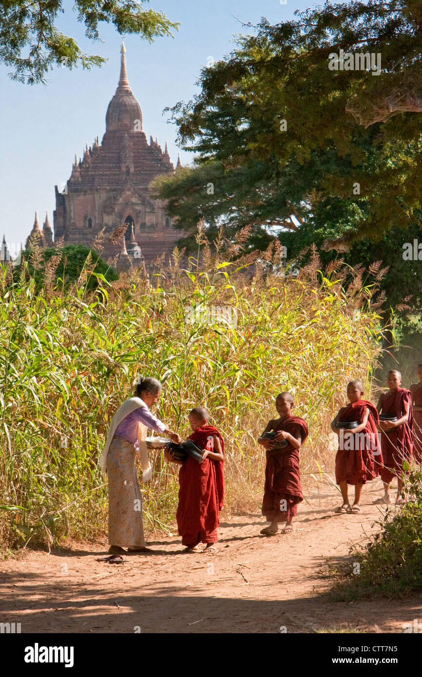 Myanmar, Birmania. Bagan. Arroz a la joven mujer dando a los monjes novicios. Foto de stock