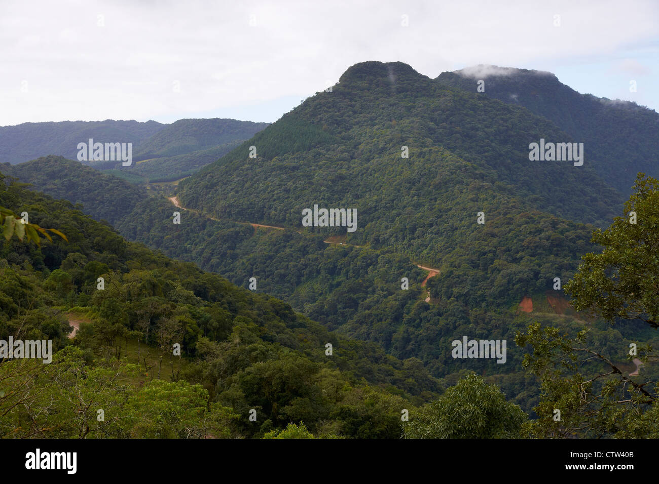 Colinas y Valles en la 'Serra; do Mar" Foto de stock