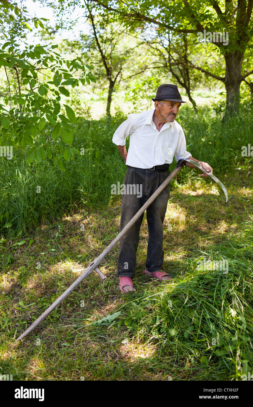 Senior hombre rural afilar su guadaña para segar el césped Fotografía de  stock - Alamy