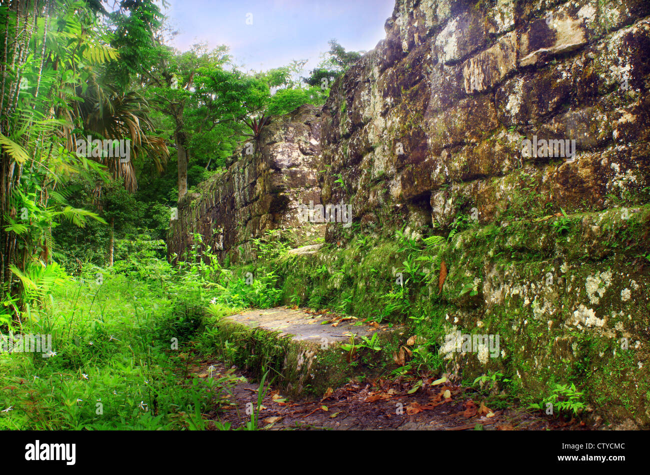 Monumentos las ruinas mayas de Tikal en la selva cerca de Flores, Guatemala Foto de stock