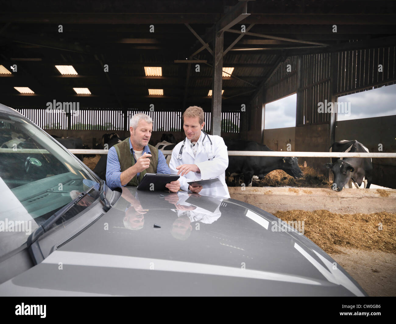 Agricultor y un veterinario hablando por el granero Foto de stock