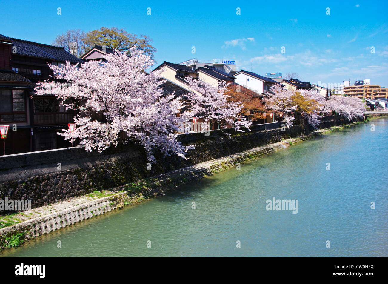 Flor de cerezo de Ishikawa en Japón Foto de stock