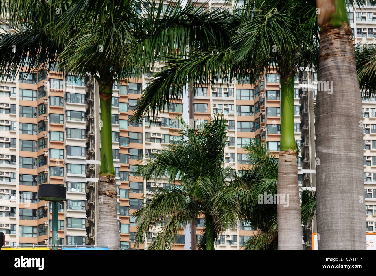 Bloques de pisos de Hong Kong Foto de stock
