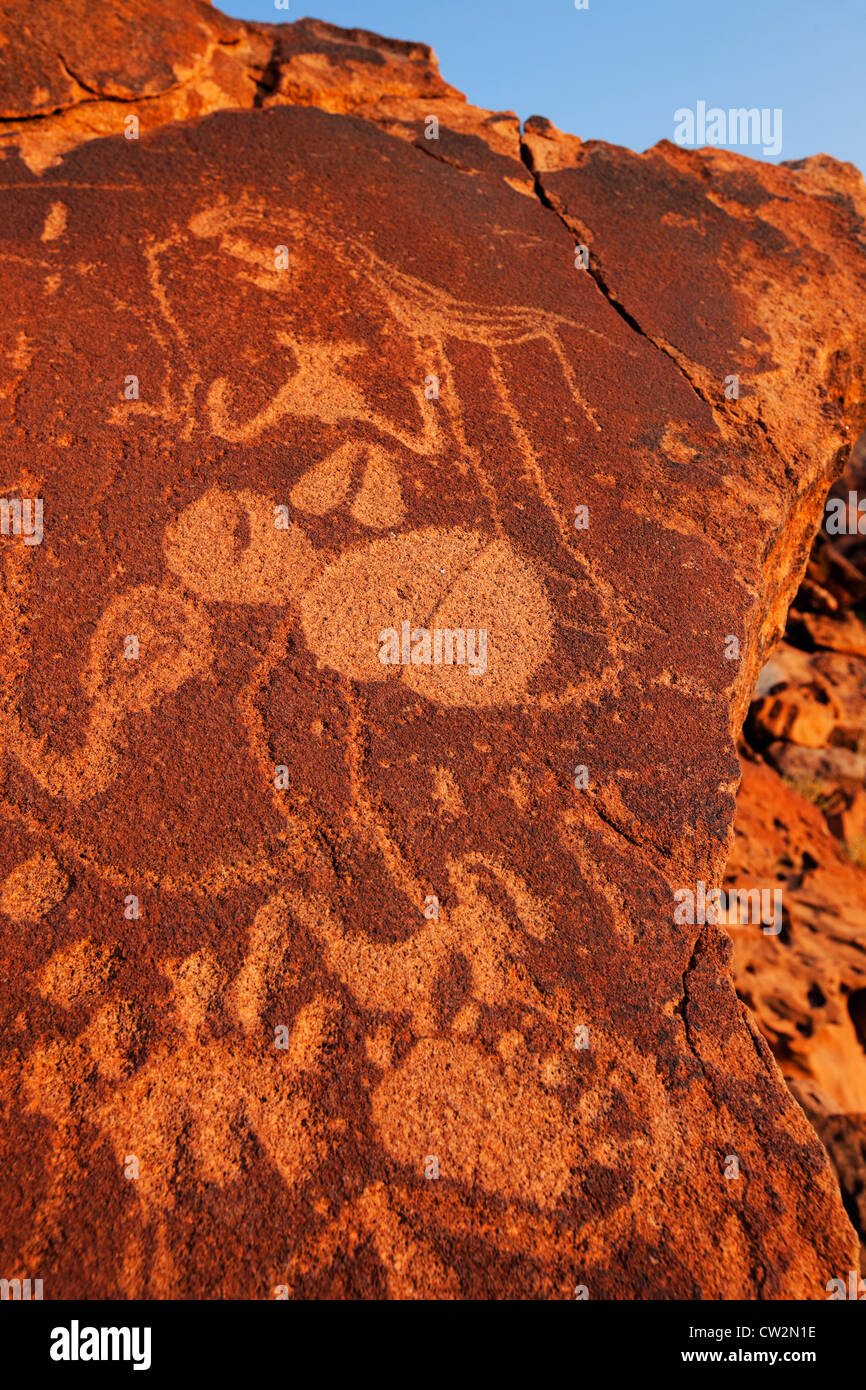 Twyfelfontein petroglifos grabados rupestres/.Namibia Foto de stock