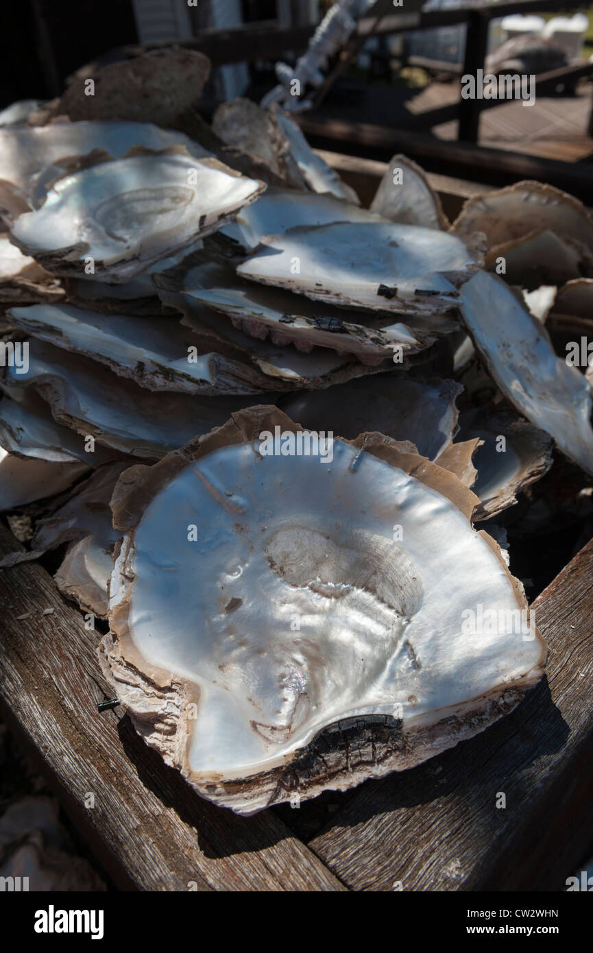 De Madre Perla o nácar dentro de una concha de ostra, Broome, Australia  Occidental Fotografía de stock - Alamy