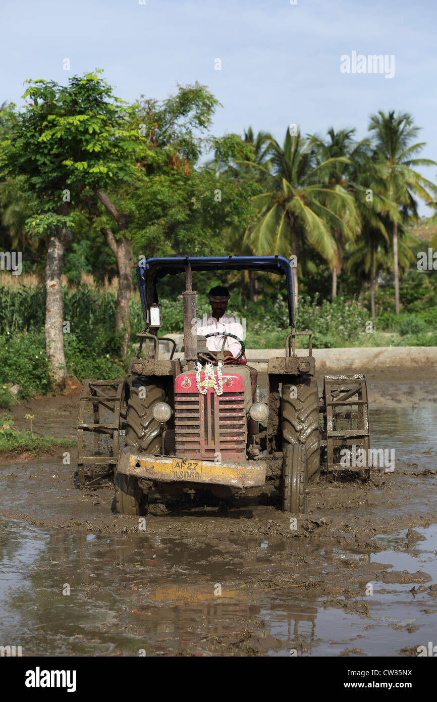 Tractor preparando un campo de arroz en Andhra Pradesh en el sur de la India Foto de stock