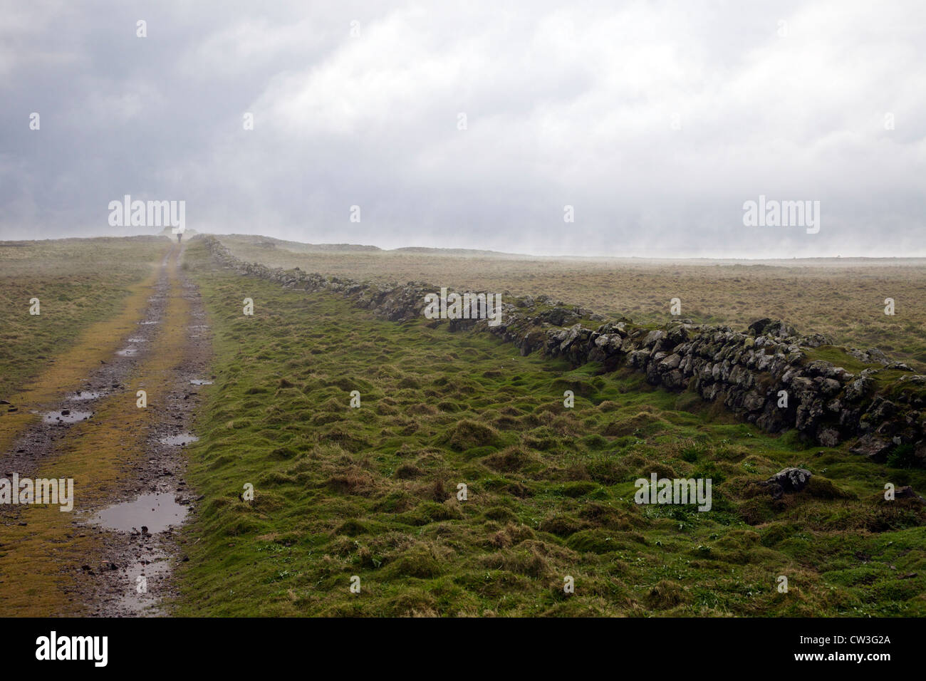 Niebla de la mañana en la isla Skomer, Parque Nacional de Pembrokeshire, Gales, Cymru, Reino Unido, España, Gran Bretaña, GB, Islas Británicas, Foto de stock