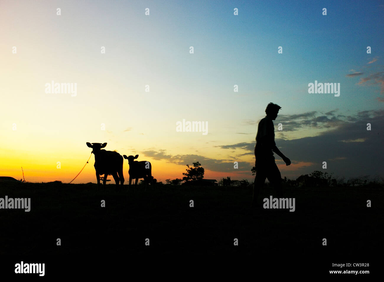 Irrigacion bovinos fotografías e imágenes de alta resolución Alamy