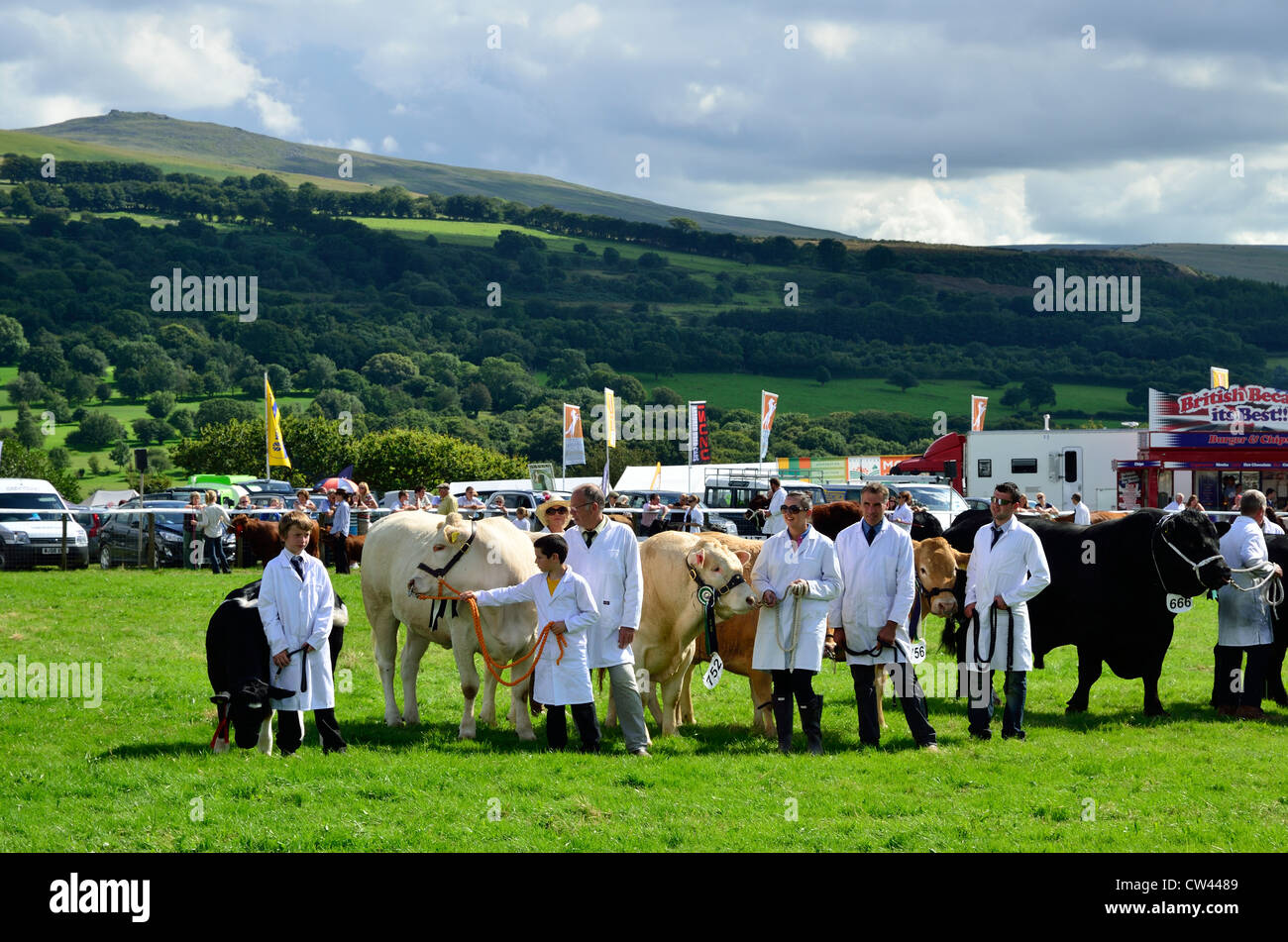 Ganador del premio ganado en Okehampton Mostrar Foto de stock