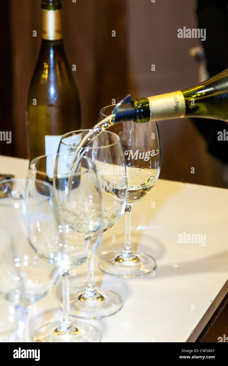 La Rioja, Haro, España, Europa. Vino blanco fresco hermoso que se vierte en una copa de vino. Foto de stock
