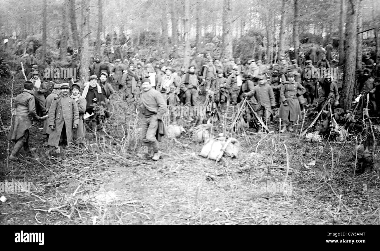 Forest of argonne fotografías e imágenes de alta resolución Alamy