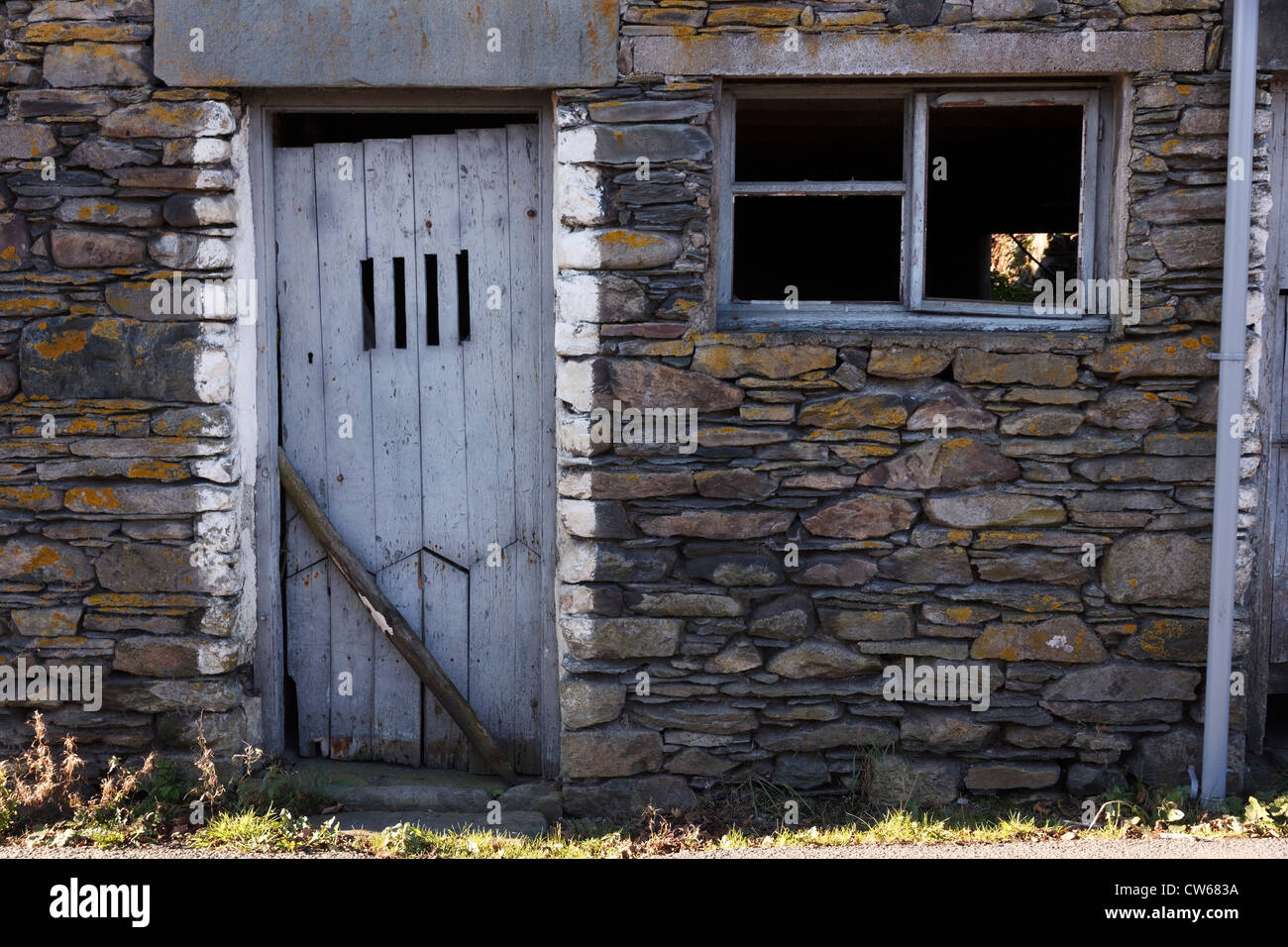 Casco azul pálido en la puerta de madera pintada de gris pizarra antigua granja, Colwith, Cumbria, Lake District, Inglaterra, Reino Unido. Foto de stock