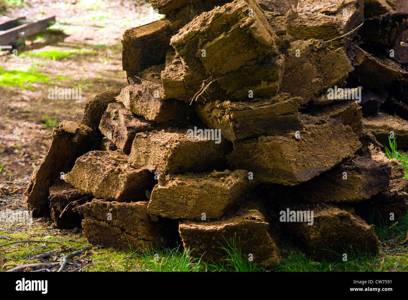 Pedazos de turba apilada durante el secado, Alemania, Baja Sajonia, Landkreis Osterholz, Worpswede Foto de stock