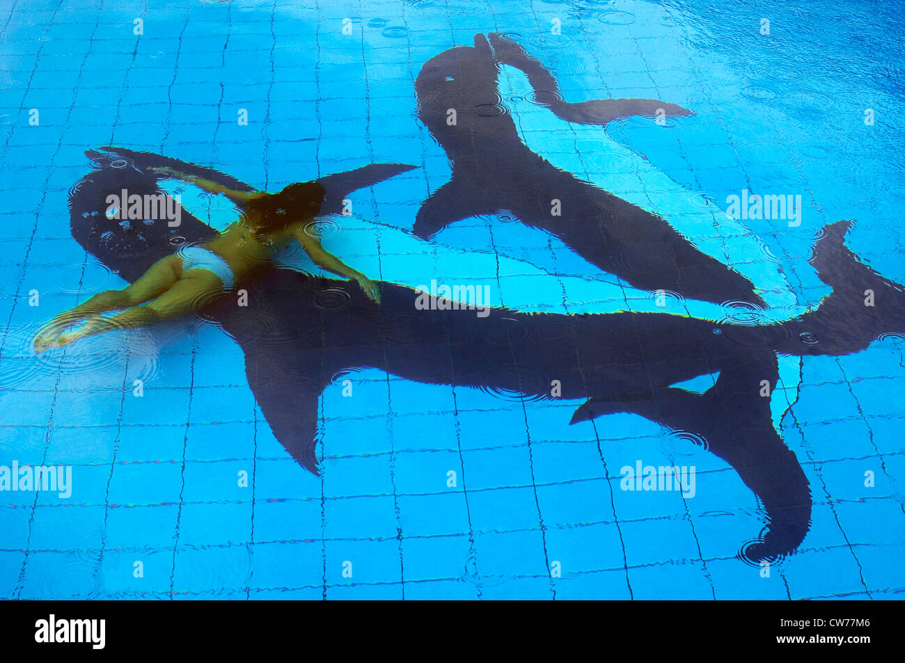 Una mujer de buceo en una piscina con delfines, Caba Island, la bahía de Halong, Vietnam Foto de stock