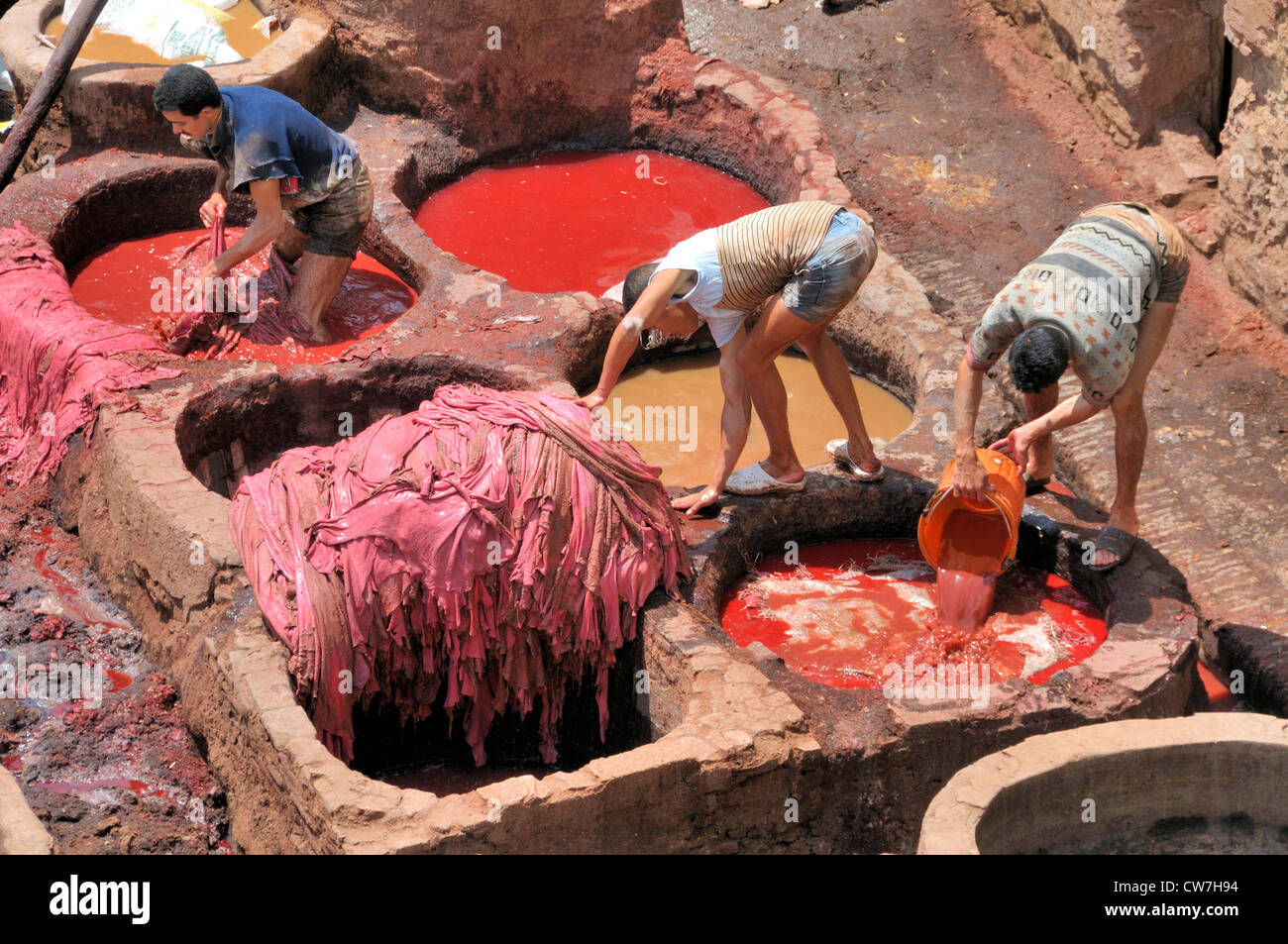 Los hombres de cuero teñido en comederos de curtidores y tintoreros'' trimestre chouwara, Marruecos, Fes Foto de stock