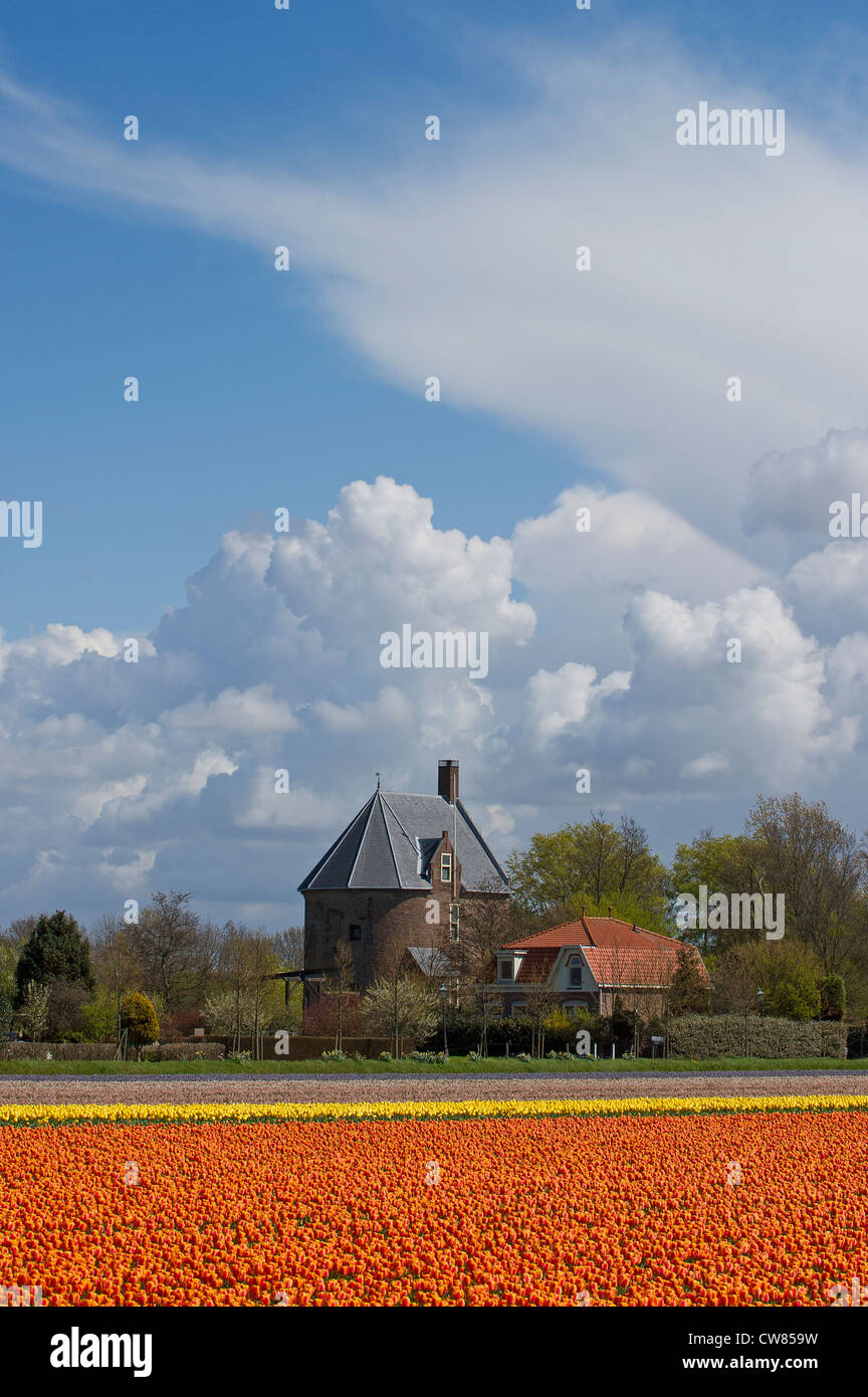 Una escena tradicional holandés Foto de stock
