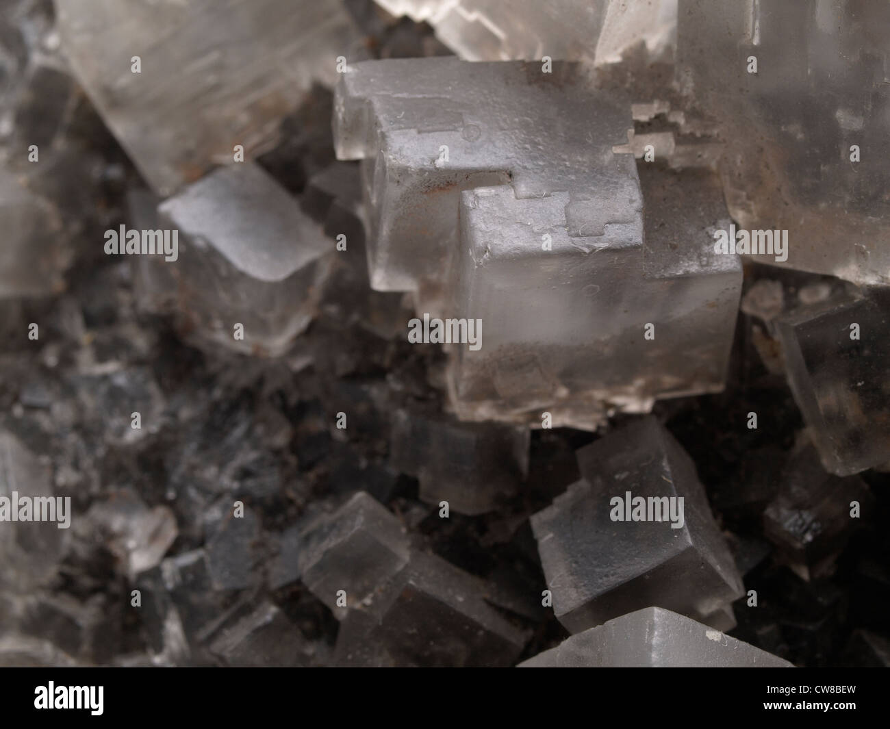 El halito; Wieliczka, Polonia. Gran cristal escalonado tiene borde largo unos 15 milímetros de largo. Foto de stock