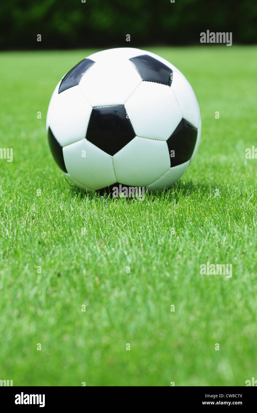 Balón de fútbol en pastizales Foto de stock