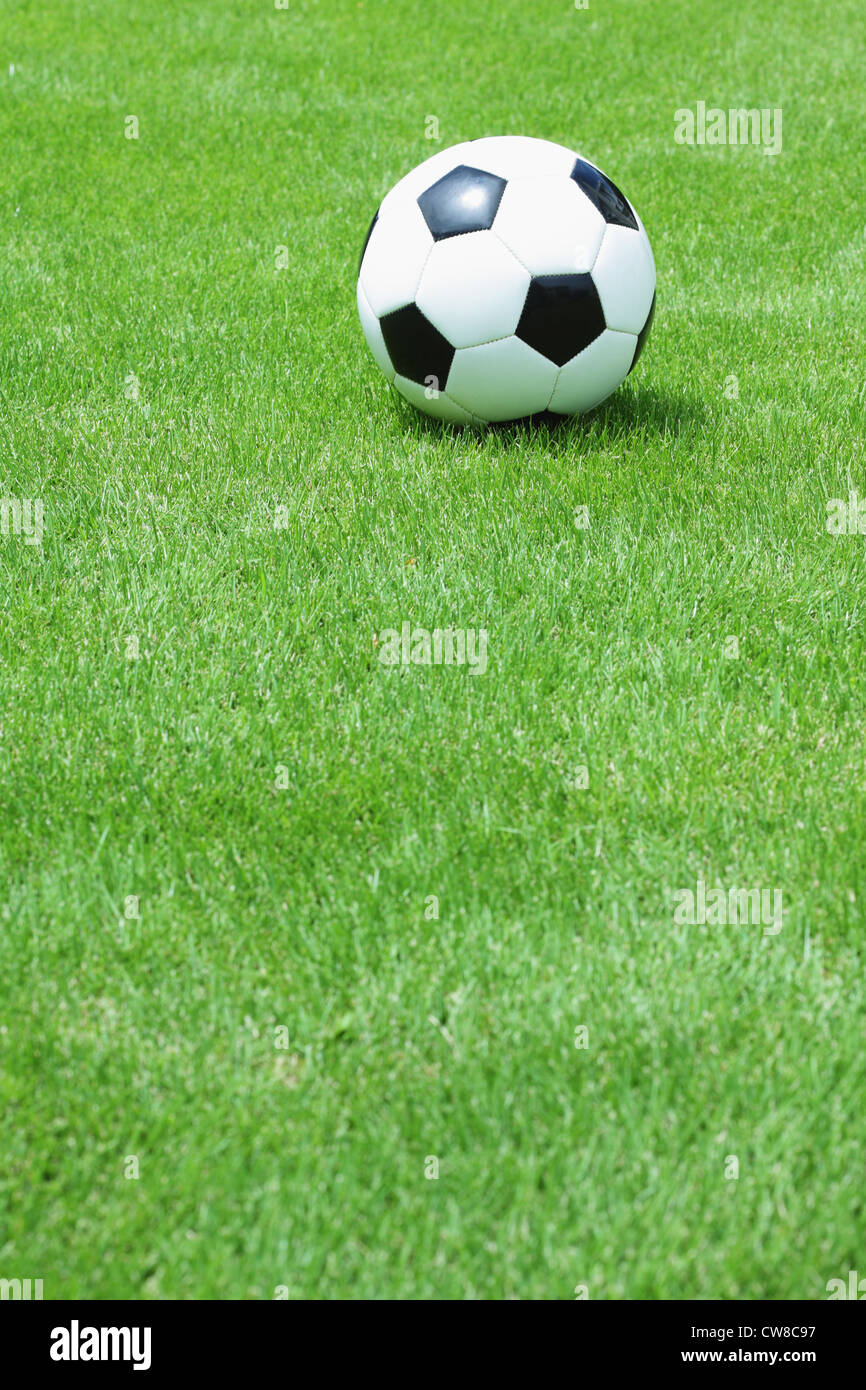 Balón de fútbol sobre el césped Foto de stock