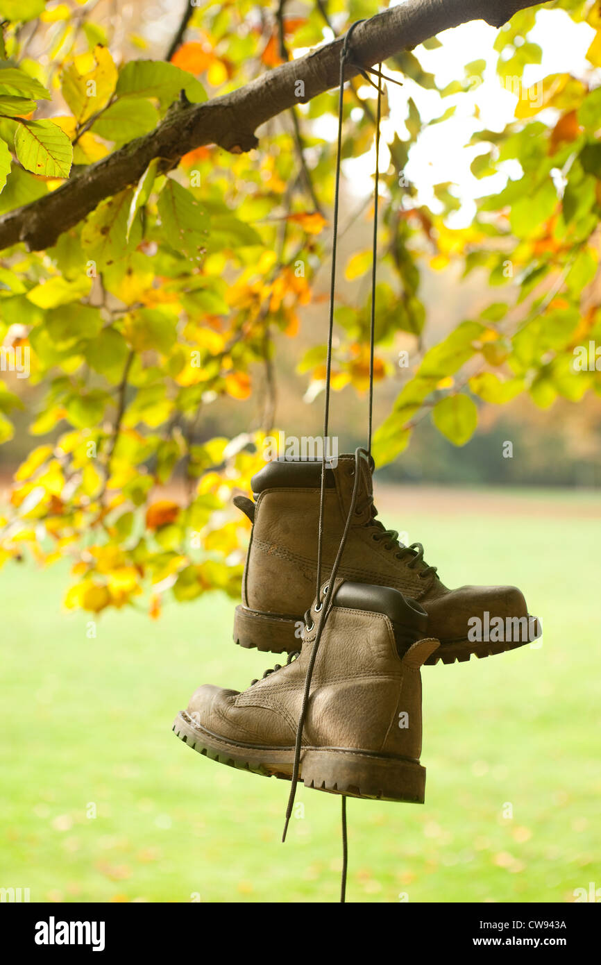 madre espada detergente Viejas botas desgastadas colgando de un árbol en un bosque de otoño  Fotografía de stock - Alamy