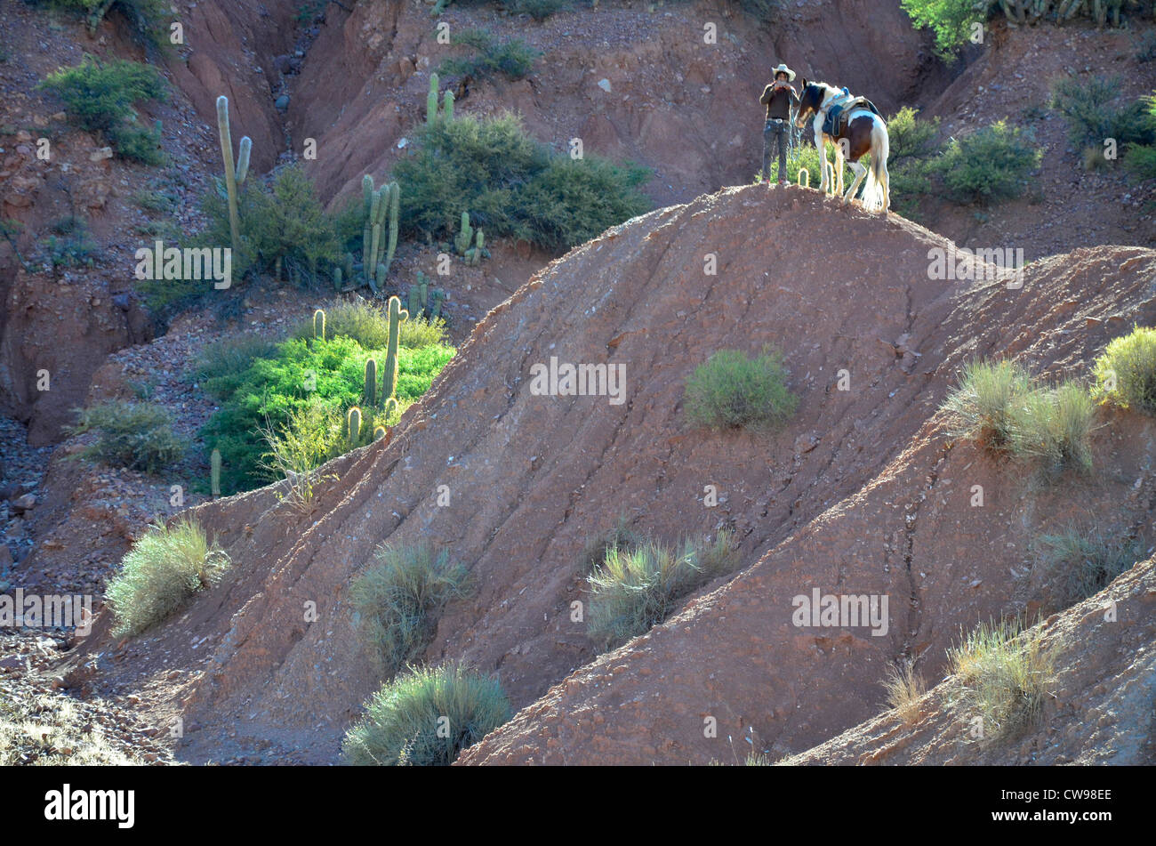 Recorriendo el Altiplano de gran altitud de la cordillera de Los Andes en Bolivia, en América del Sur. Jinete solitario con pinto pony en afloramiento Foto de stock