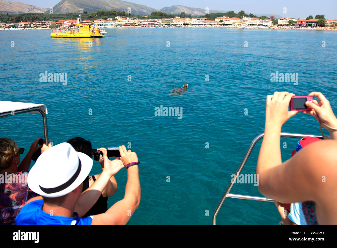 Barco turístico con fondo de cristal en busca de tortuga caguama (Caretta Carreta ) en Laganas resort, al sur de la isla de Zakynthos, Zante Foto de stock