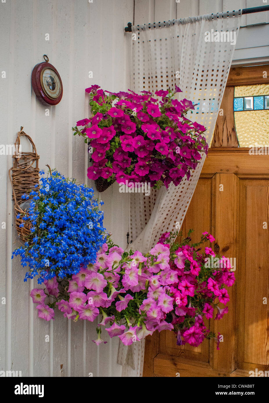 Muchos tonos de flores azules Foto de stock
