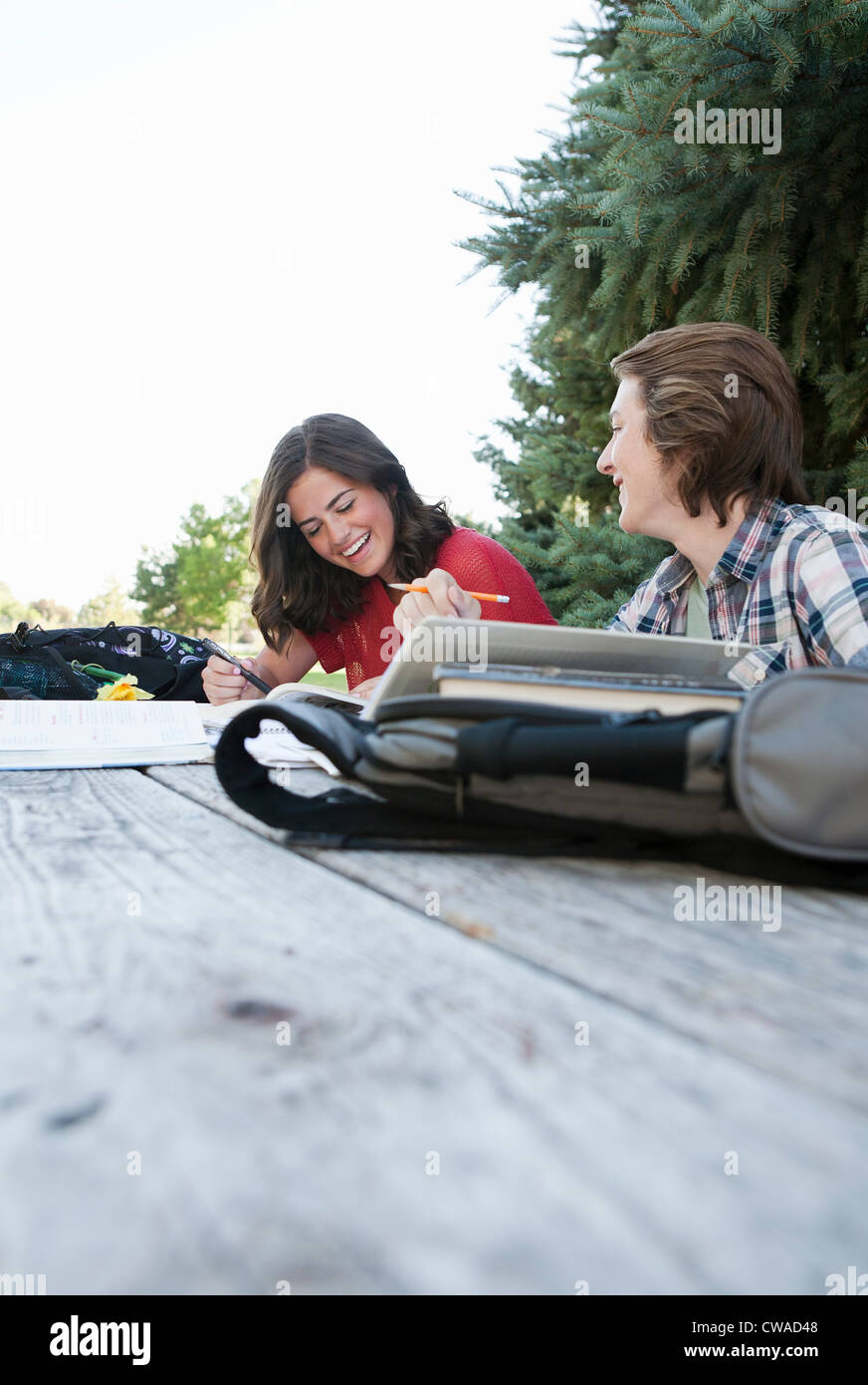 La pareja de adolescentes que estudian en mesa de picnic en el parque Foto de stock