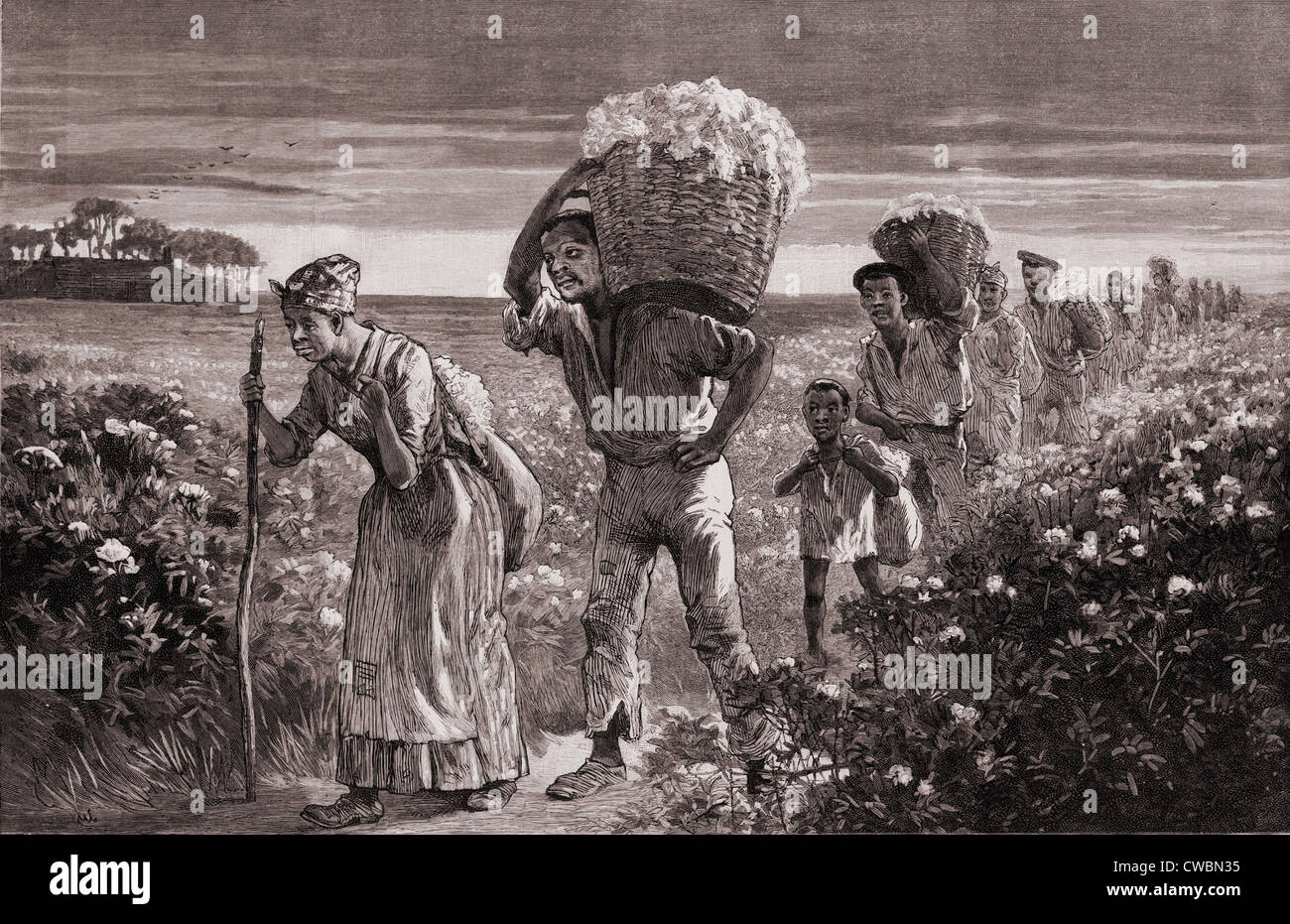 Los afroamericanos dejando un campo de algodón después de un día de cosecha en el sur de Estados Unidos. 1887 El grabado de un dibujo de Matt Foto de stock