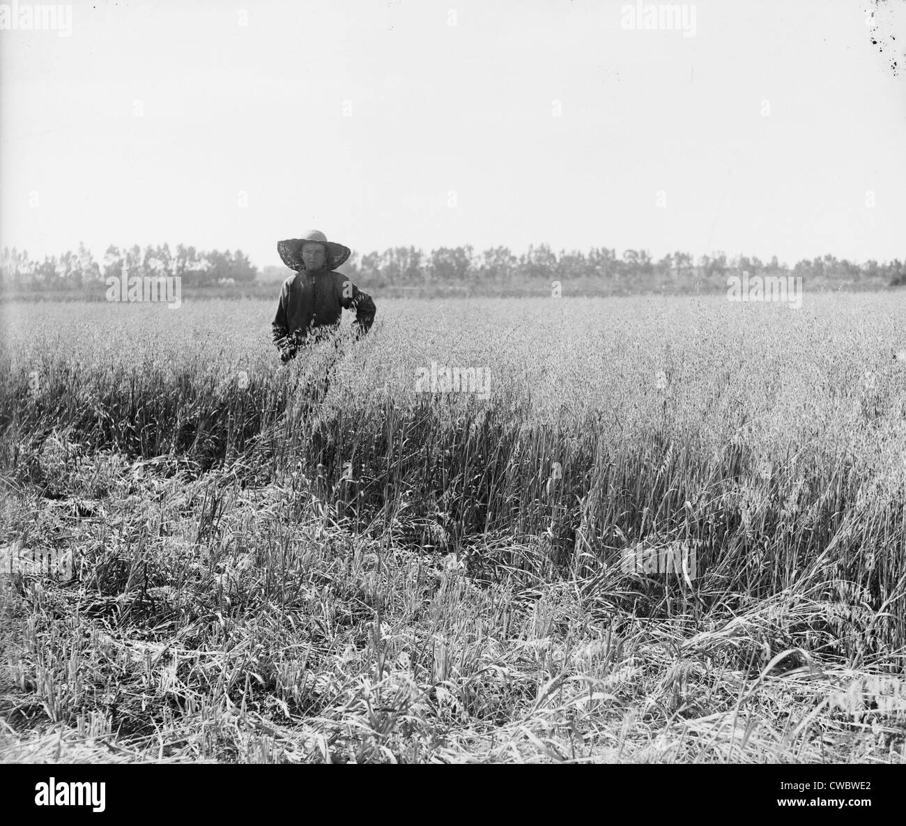 Retrato de un colono judío en un campo de grano madura en un kibbutz. Palestina, ca. 1920-39. Foto de stock