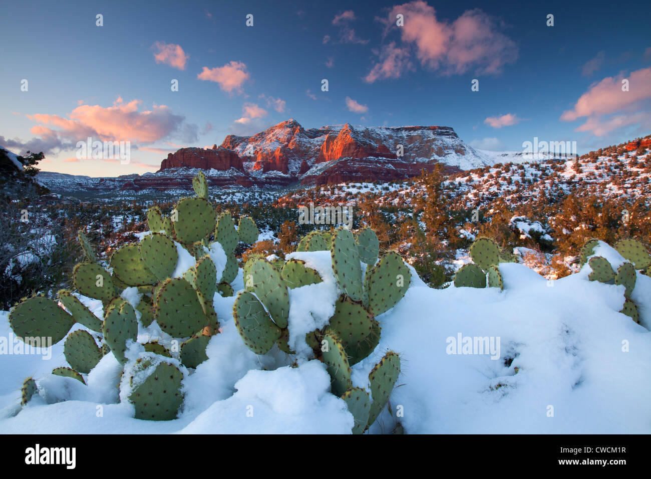 Nieve en invierno Schnebly Hill, el Bosque Nacional Coconino, Sedona, Arizona. Foto de stock