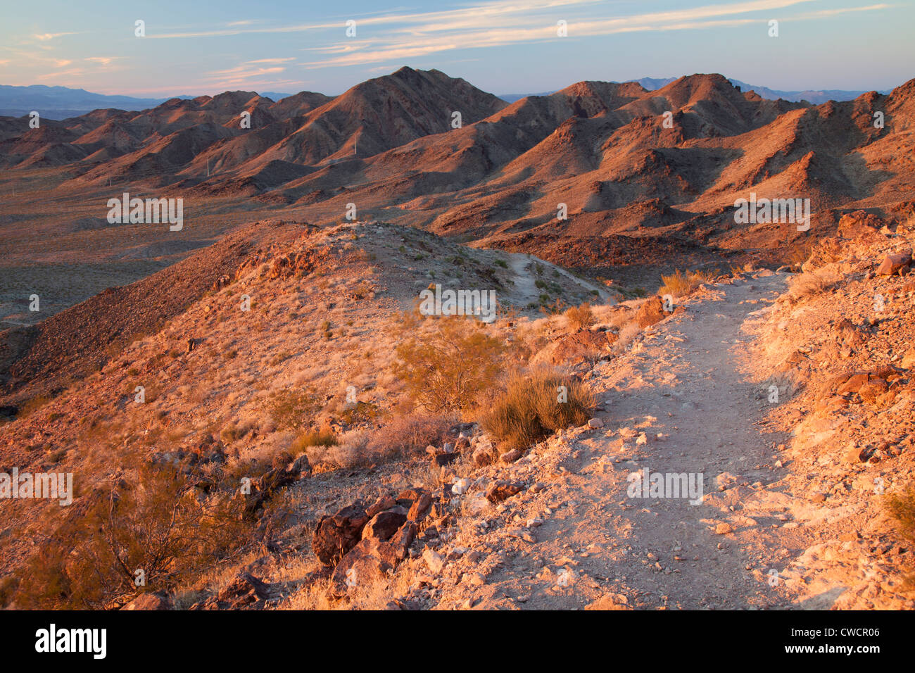 Algunos de los senderos de una sola vía que componen el Bootleg Canyon mountain bike zona, Boulder City, Nevada. Foto de stock