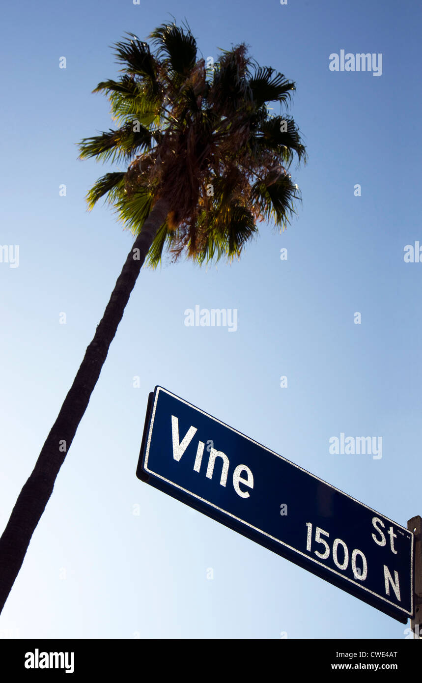La famosa calle de vid en Los Angeles Foto de stock