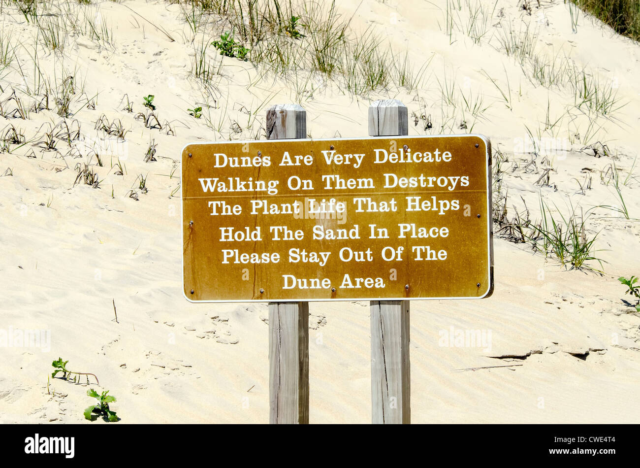 Señal de advertencia de la duna de arena "aléjate quedarse out' del condado de Currituck, Outer Banks, Carolina del Norte Foto de stock