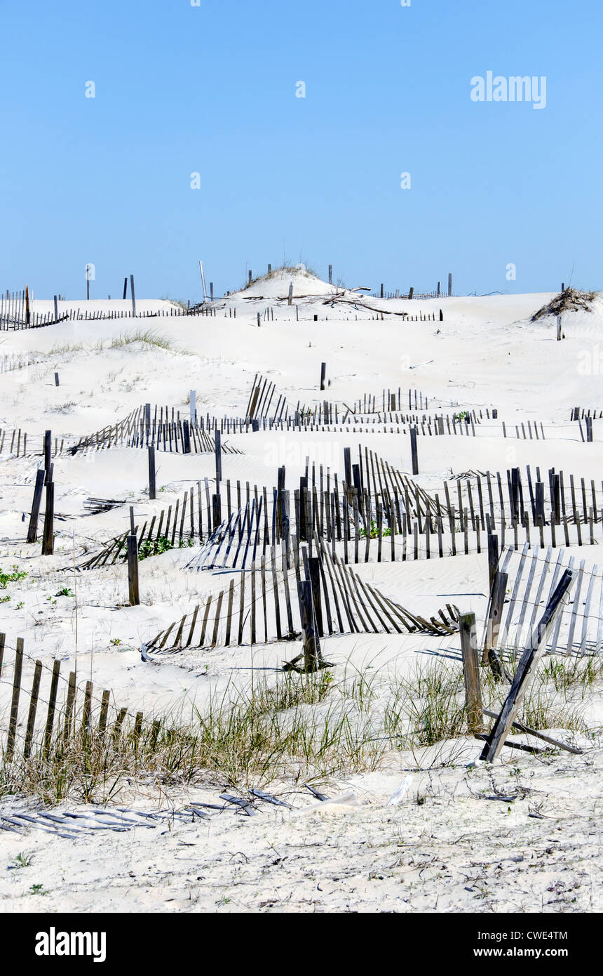 Serie de arena cercas para la estabilización de dunas de arena, la restauración y la reconstrucción de Outer Banks de Carolina del Norte Foto de stock