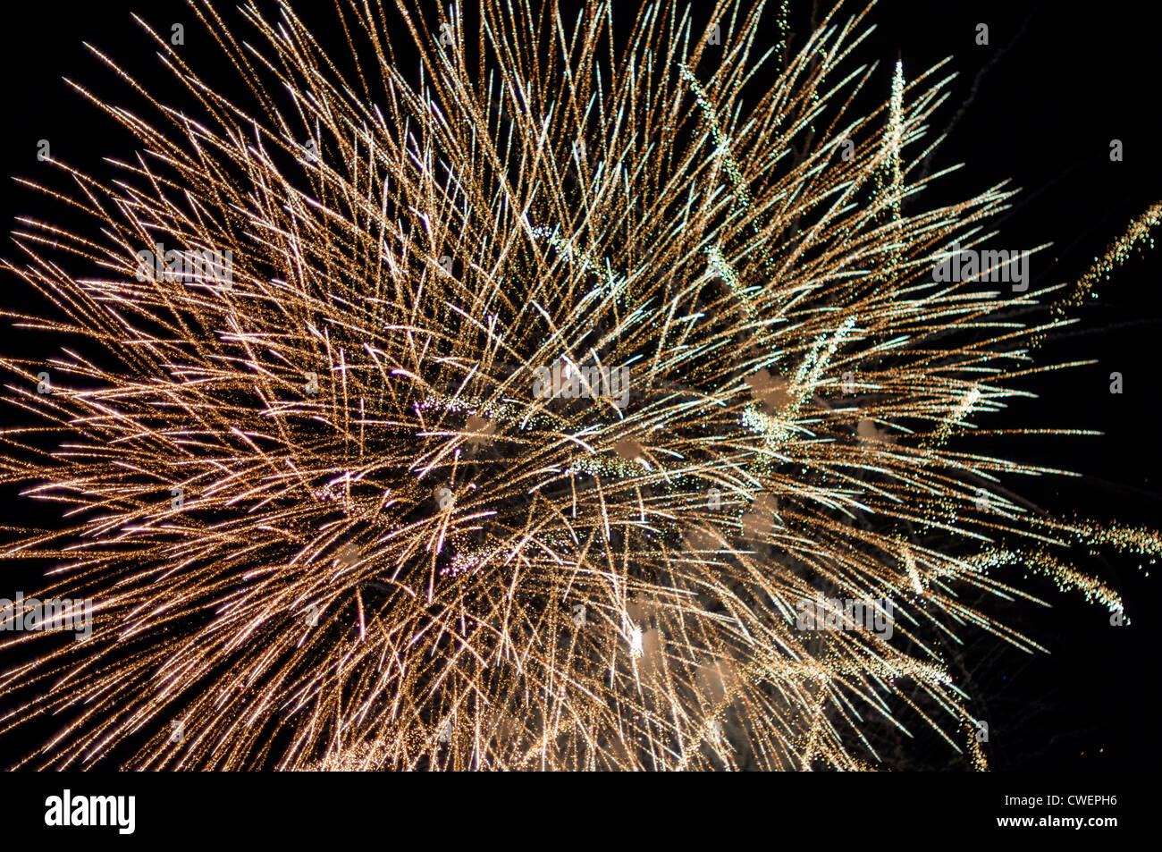 Una delicada ráfaga de fuegos artificiales en el cielo de la noche Foto de stock