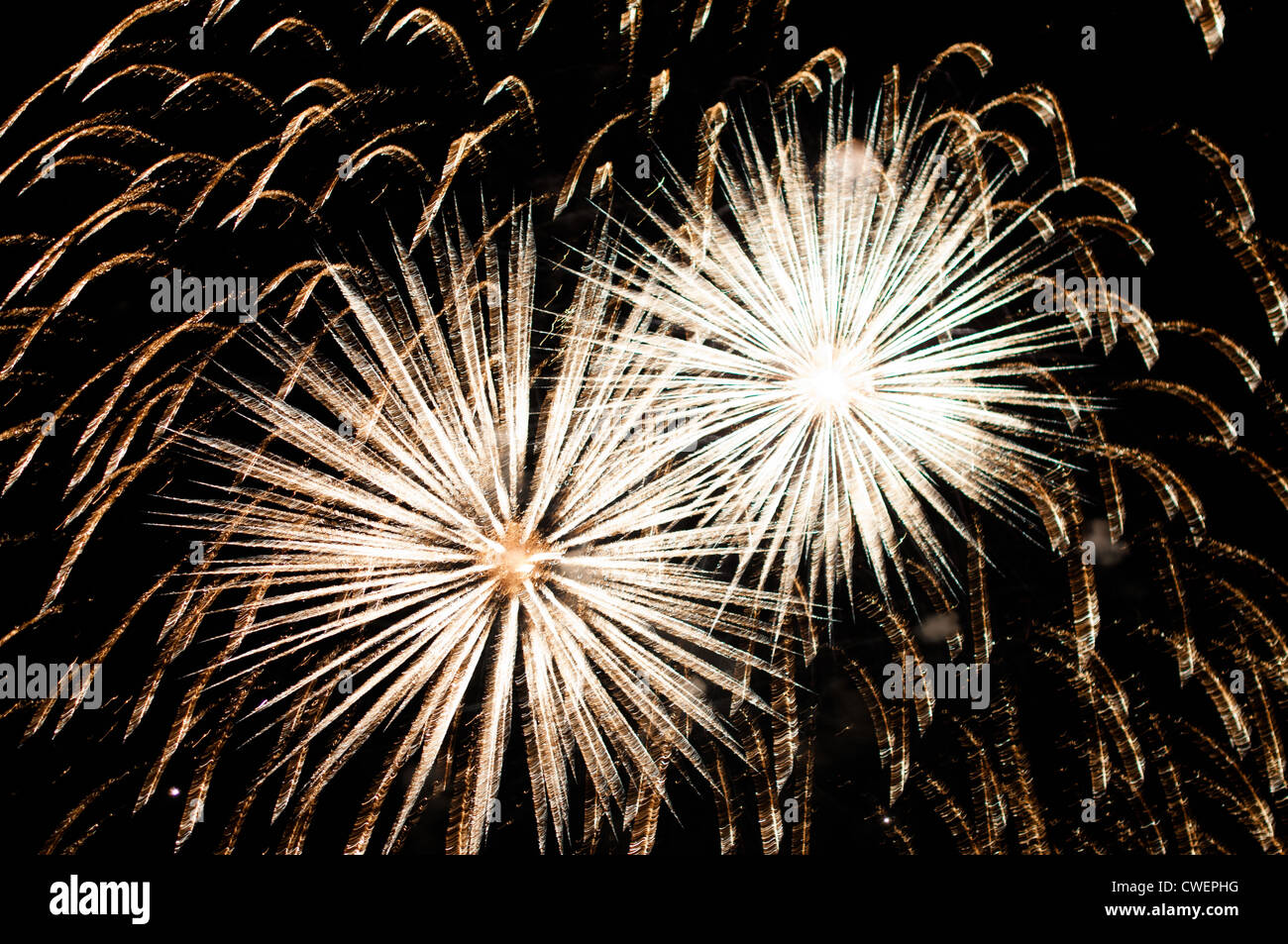 Una delicada ráfaga de fuegos artificiales en el cielo de la noche Foto de stock