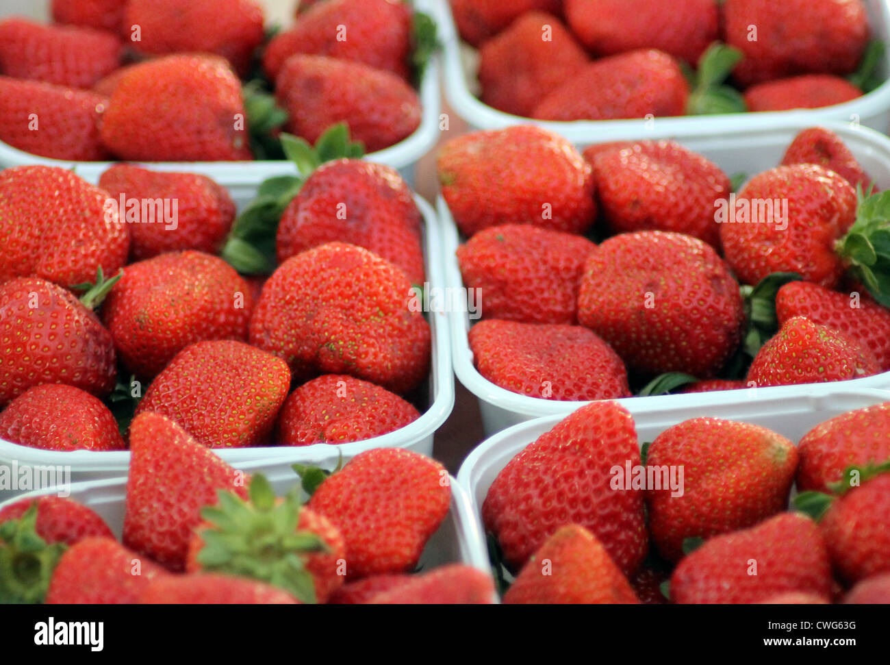 Punnets de fresas rojas maduras en puesto en el mercado. Foto de stock
