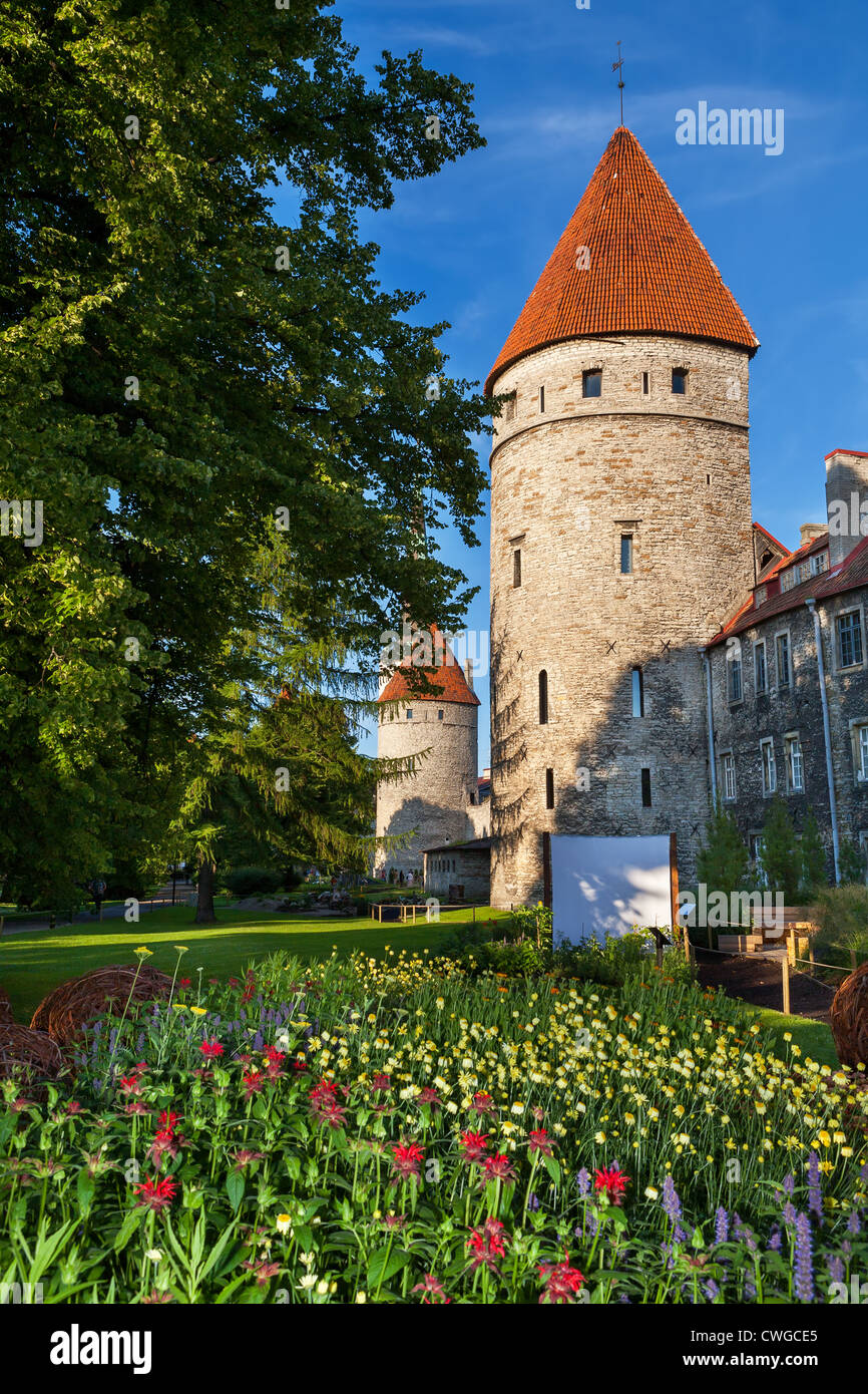 Torres de Tallin. Estonia Foto de stock