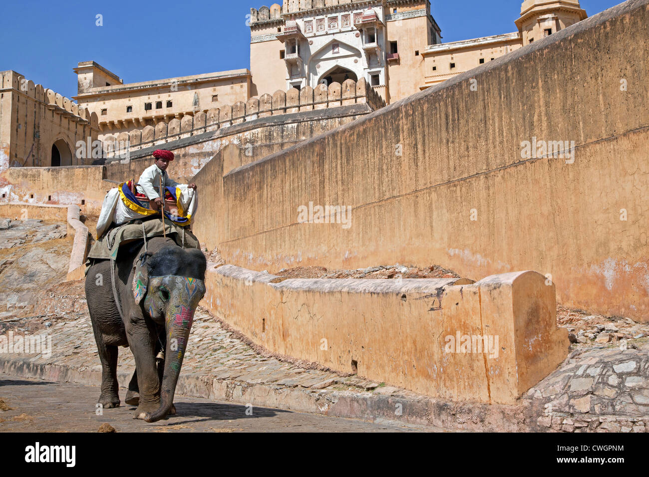 Equitación cornaca Indio decorado elefante en Amer Fort / Fuerte Amber, palacio de arenisca roja en Amer cerca de Jaipur, Rajasthan, India Foto de stock