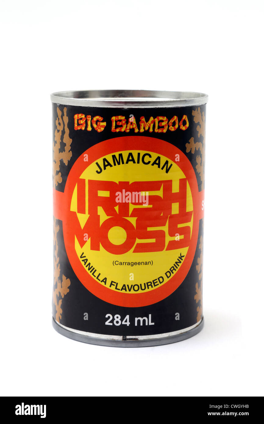 Lata de Big Bambú musgo irlandés jamaicano la bebida con sabor a vainilla Foto de stock
