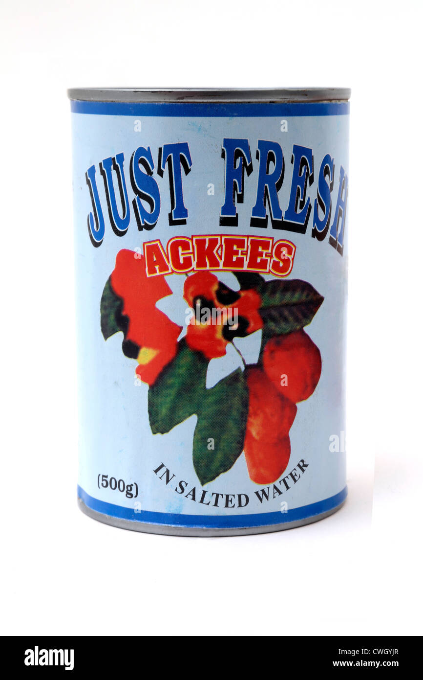 Una lata de Ackees frescas en agua salada Foto de stock