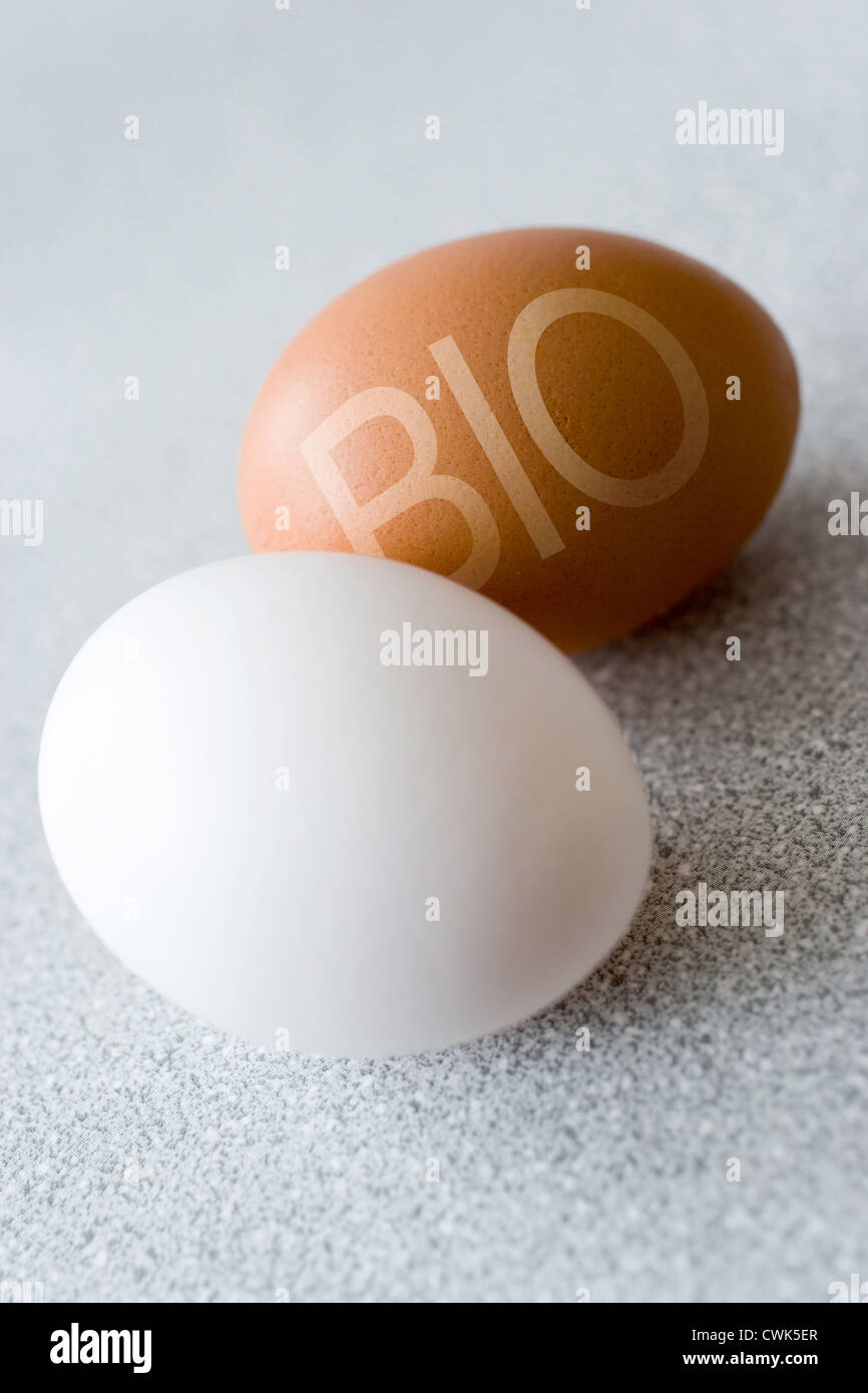Bio huevos de la granja Foto de stock