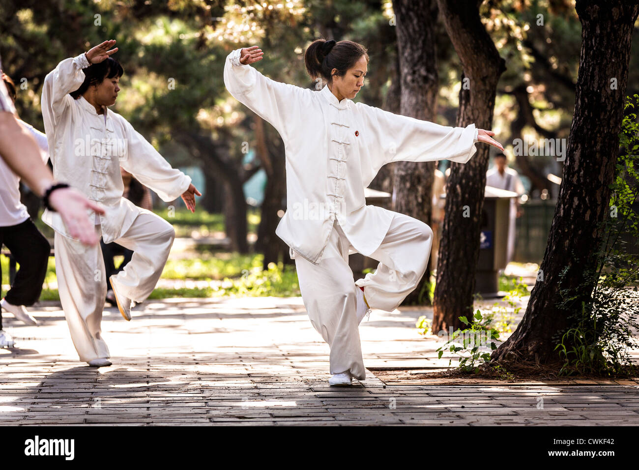 Las prácticas de la gente china tai chi artes marciales ejercicio temprano en la mañana en el Templo del Cielo el parque durante el verano en Pekín Foto de stock
