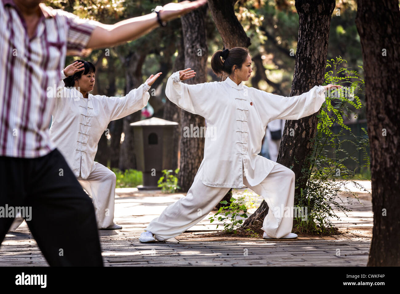 Las prácticas de la gente china tai chi artes marciales ejercicio temprano en la mañana en el Templo del Cielo el parque durante el verano en Pekín Foto de stock