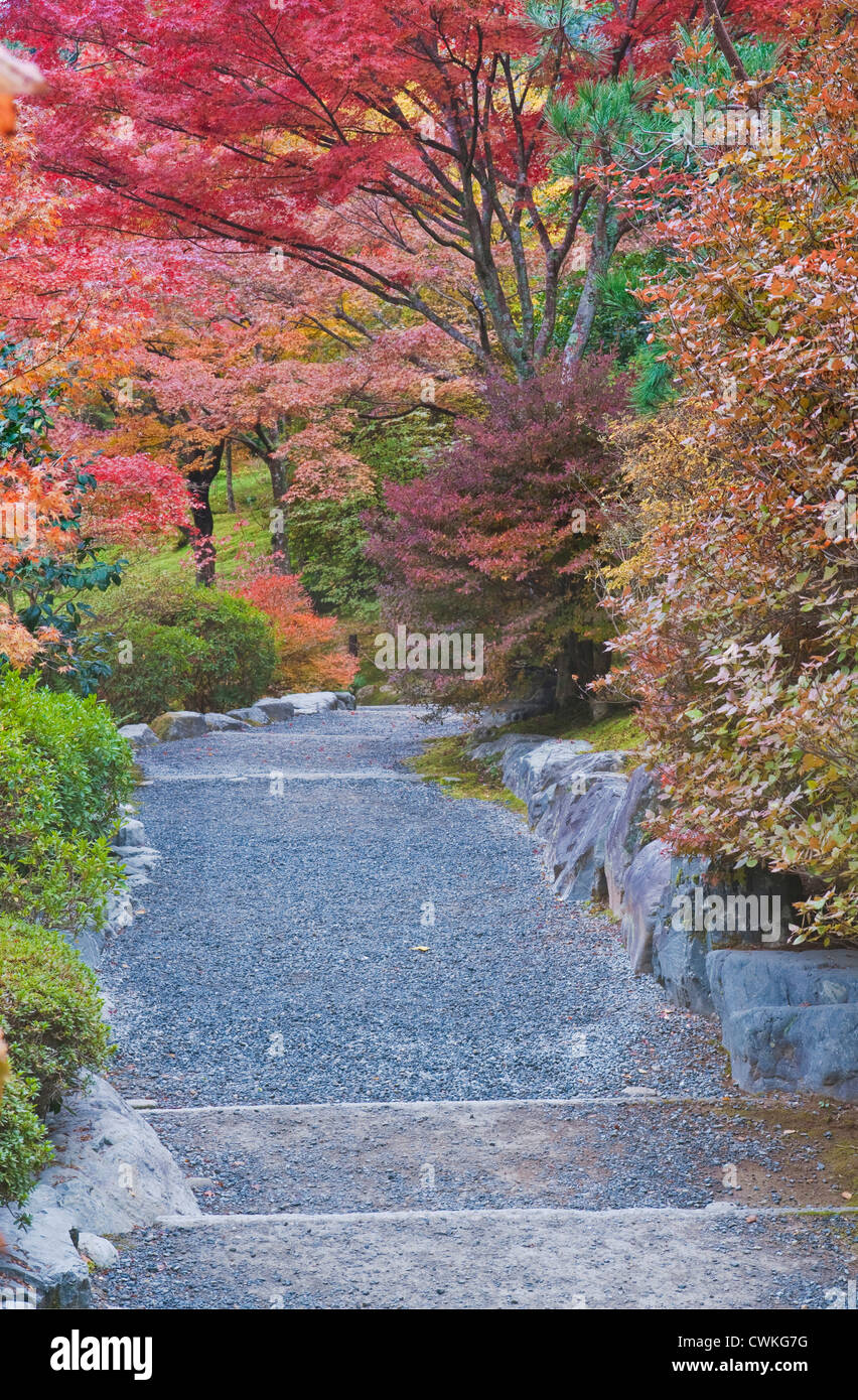 Japón, Kioto, Arashiyama Sagano, Jardín del templo Tenryuji Foto de stock