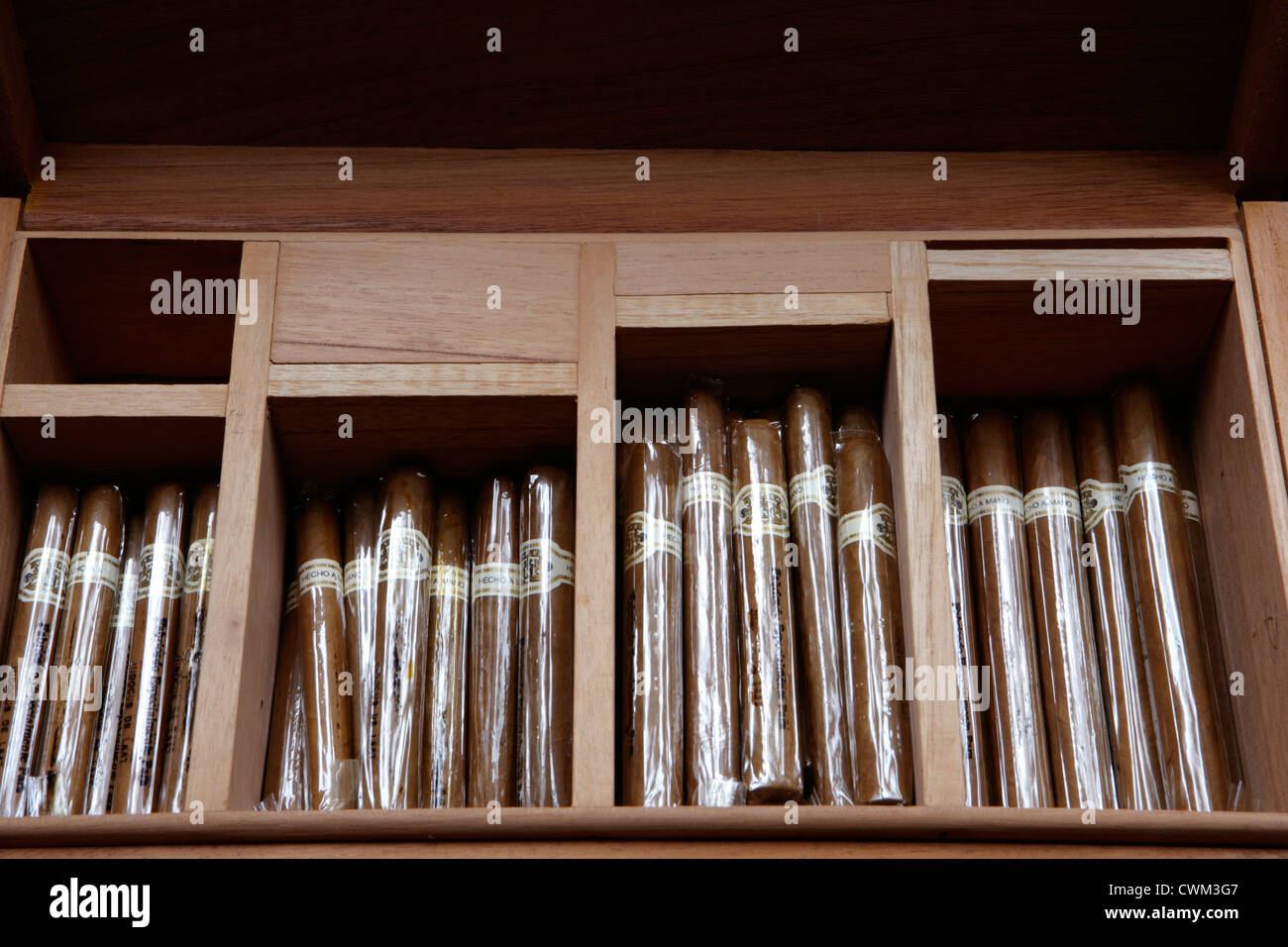 Antiguo Humidor Puros, en Madera Bosque Negro y Tallado a Mano