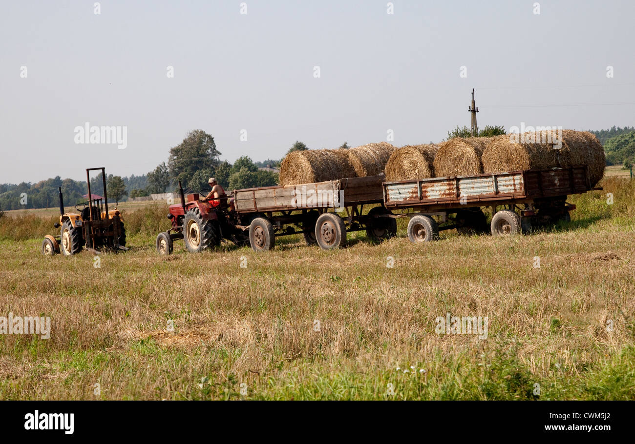 Agricultor recogiendo los fardos de heno redondo grande cosecha de la granja campo. Zawady Polonia Central Foto de stock